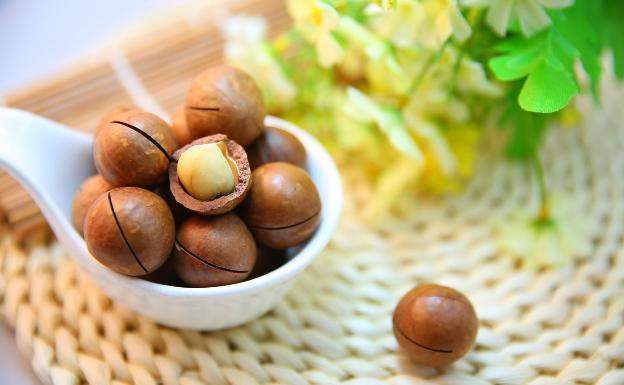 Nuez de macadamia fruto seco